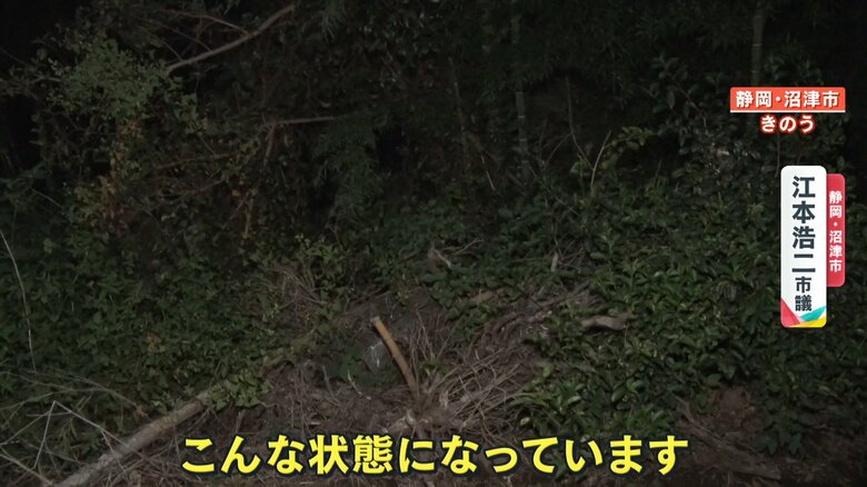 荒れた状態になっている竹林