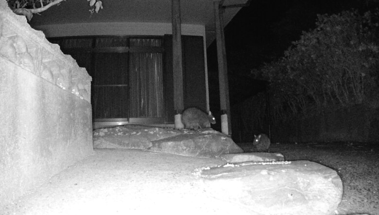 画像提供 森と海の藝術楽校