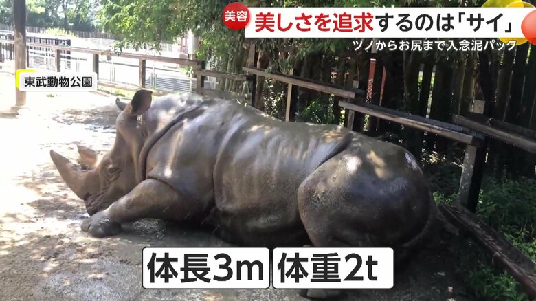 大きな体も自慢のモランくん