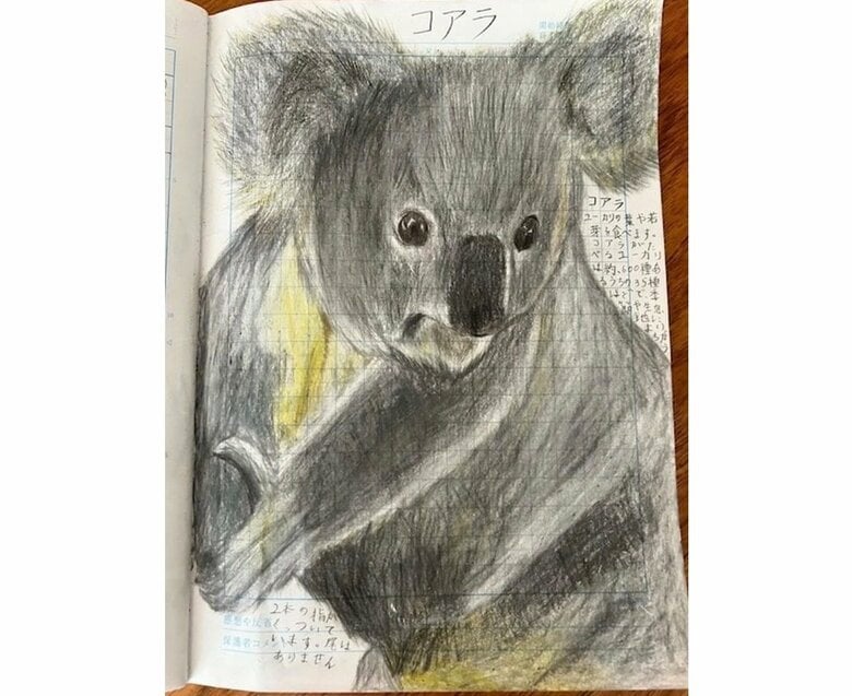 コアラ（前回の取材時以降の作品）