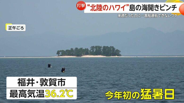 福井・敦賀市では最高気温36.2℃と今年初の猛暑日を記録
