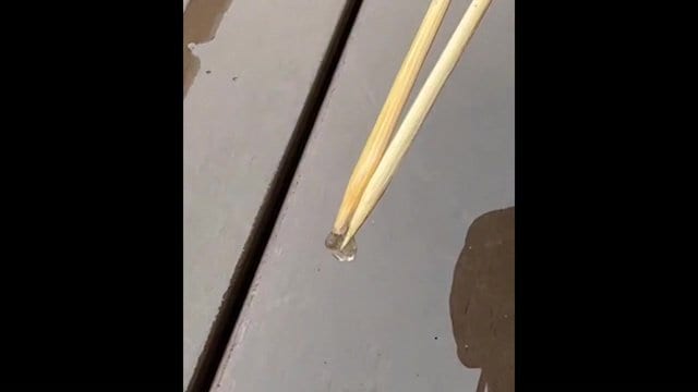 つまんでみる…想像通りプルプル