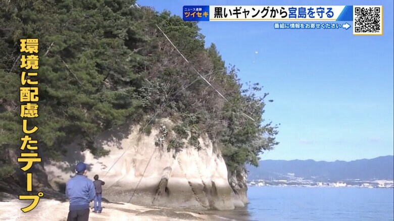 環境に配慮したテープを島に張りめぐらす