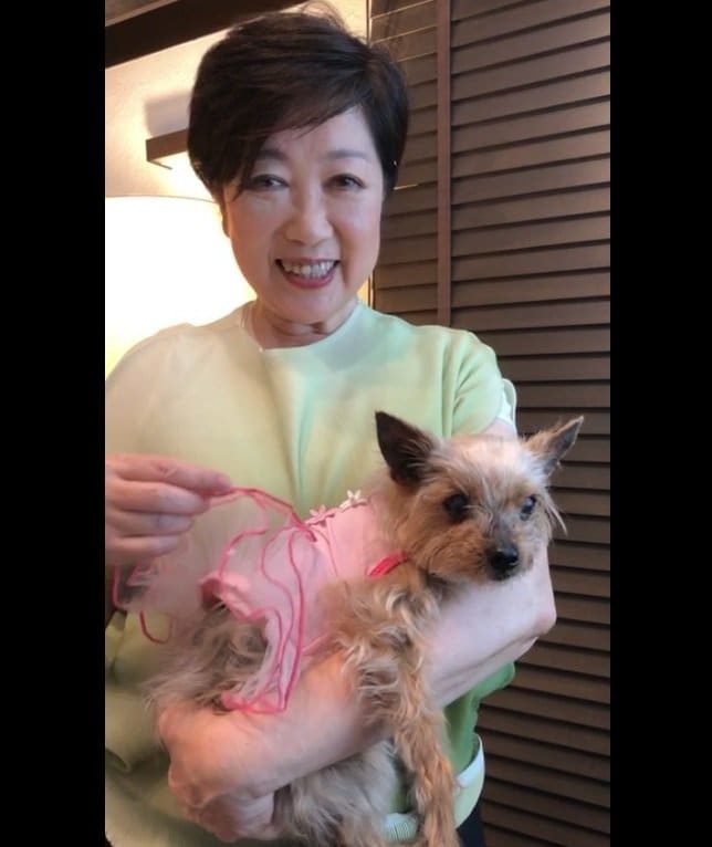 犬の「そうちゃん」と　小池都知事のインスタグラムより