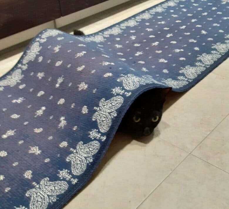 カーペット下