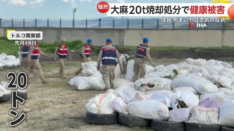 焼却処分が行われたという憲兵隊が2023年からの2年間に押収した大麻