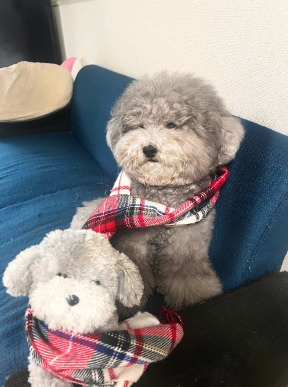 提供：レノン&れあるさん