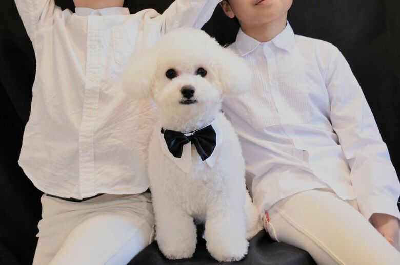 息子さんたちとエマくん（提供：エマ emmaさん）