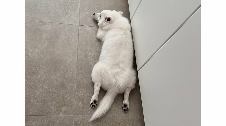 ワクチン接種後の様子を上から撮影