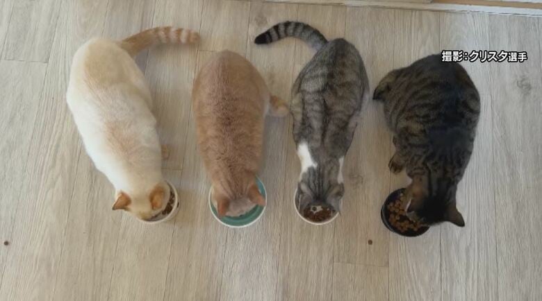 撮影：出口クリスタ選手