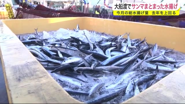 10月のサンマ総水揚げ量 2019年を上回る<岩手・大船渡市>