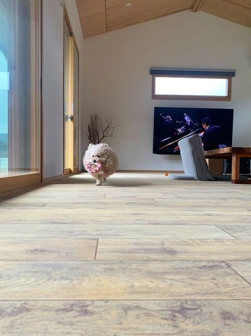 提供：＠tsuru_323さん