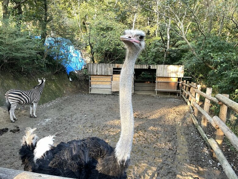 提供：長崎バイオパーク