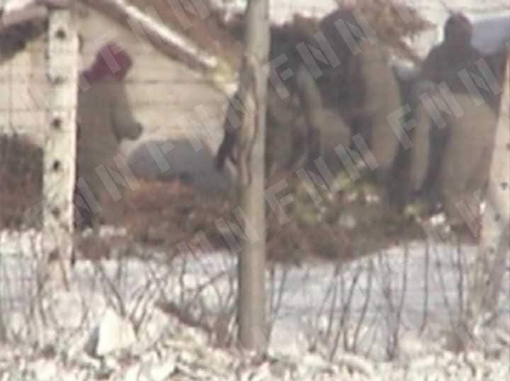 高圧電線の向こうで白菜を干す収容者