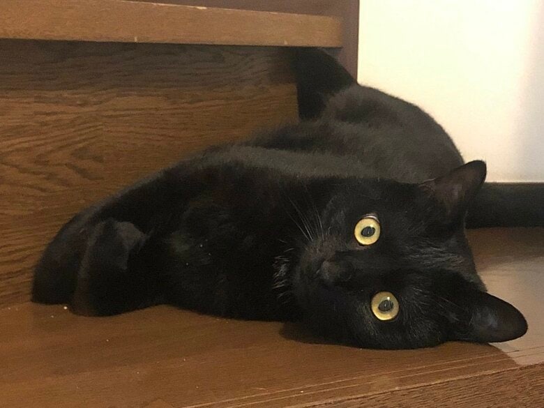 この姿からあの真四角になったというが…