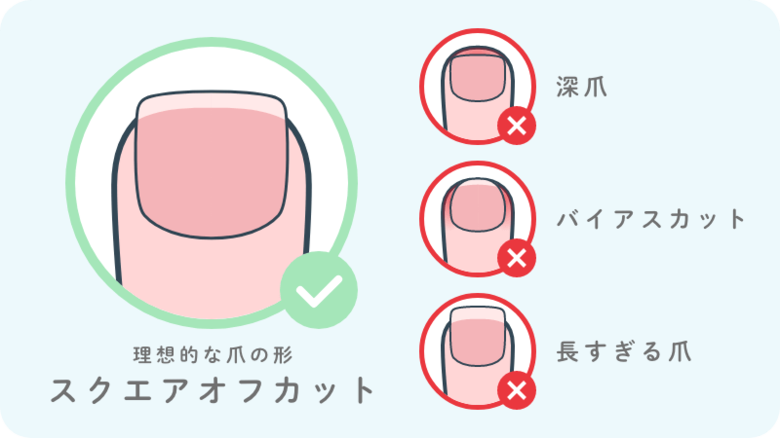 理想的な爪の形はこれ！