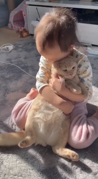 モフルンくんとつきのちゃん（提供：tsukiakari510さん）