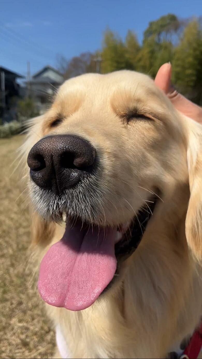 提供：エマさん