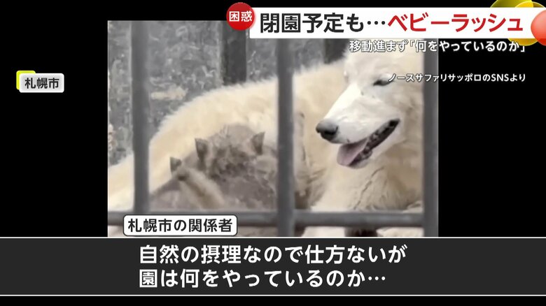 「自然の摂理なので仕方ないが、園は何をやっているのか…」と語る札幌市の関係者