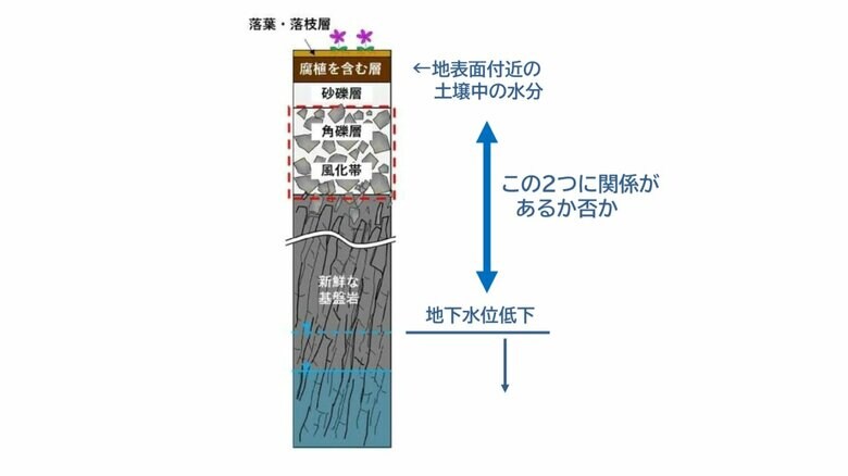 高山帯の地表と地下の関係（有識者会議資料に静岡市加筆）
