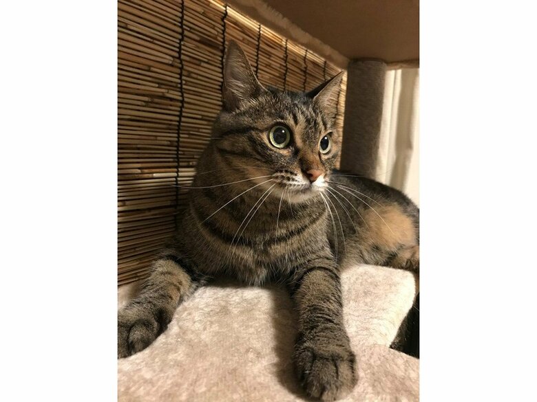 提供：えーさん