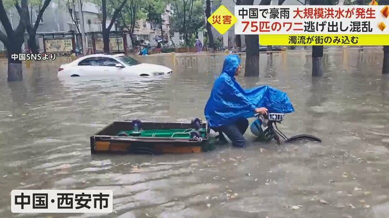 道路が冠水もケガ人なし