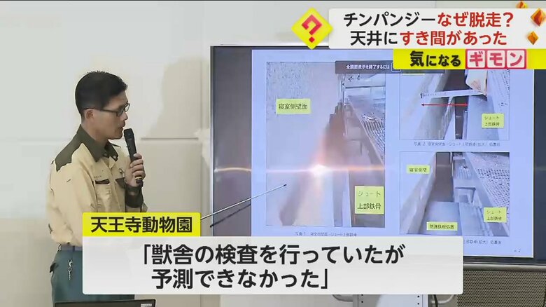 チンパンジーの獣舎の様子を説明する天王寺動物園・奥村忠雄技術部長