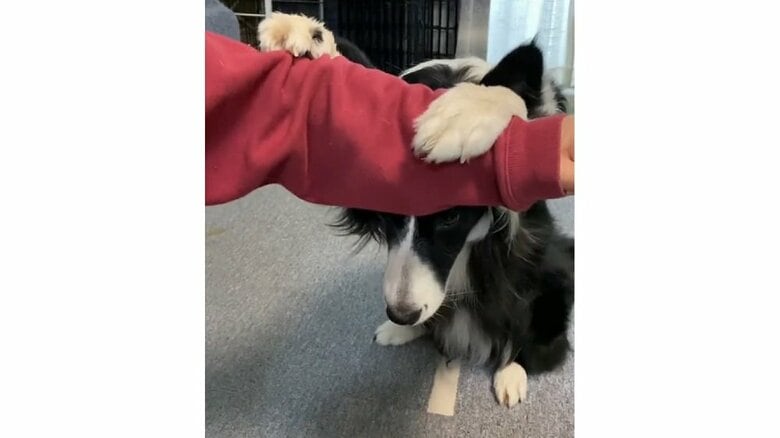 いないいな～い