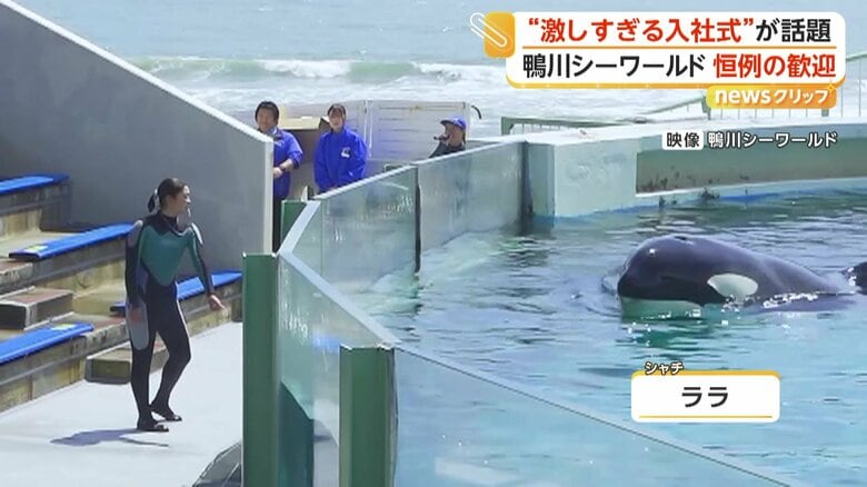 鴨川シーワールドの一風変わった入社式（6日、千葉・鴨川市）