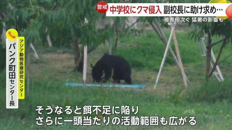 アジア動物医療研究センターのパンク町田センター長は猛暑による餌不足を指摘する