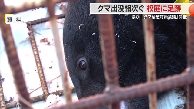 クマ出没「災害級」 体当たりでガラス割られた赤湯小のグラウンドに今度は足跡 県が緊急対策会議 山形