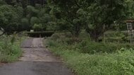 【速報】「馬が近くにいる」19日に基山町から逃げ出した馬を福岡・筑紫野市で無事捕獲【佐賀県】