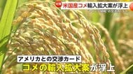 「米で対策をしないと終われない」“トランプ関税”の交渉カードにアメリカ産“米輸入拡大案”…農家反発「日本の米使って欲しい」