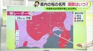まもなく桜満開　週末は絶好の花見日和に【静岡・ただいま天気　3/25】