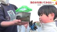  「池の水を抜いて大発見」子どもたちが丸池湧水の生き物調査、ウナギやアメリカザリガニも