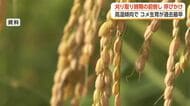 猛暑の影響を踏まえ「コシヒカリ」の刈り取り目安は8月末ごろ　富山県が平年より早めの収穫を呼びかけ