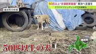 迷い込んだ2匹保護したら50匹以上に…多頭飼育崩壊の犬を救え 資金調達して避妊手術【北海道発】