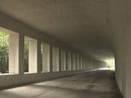 名古屋市の緑地を横断する市道工事の再開方針 周辺住民らが撤回求める「環境の保全に逆行」「生態系に影響」