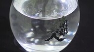 原材料オール岩手“ジン&ウォッカ” 発売へ 酒蔵「南部美人」初の挑戦<岩手・二戸市>