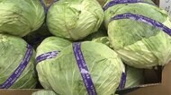 “葉物野菜”中心に安値続く タマネギなどは高値に