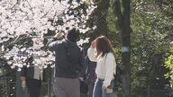 ソメイヨシノの開花 名古屋では「まだ数日かかりそう」　少し開いた蕾を確認も… 愛知の花見の名所では準備進む