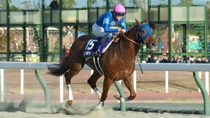 【チャンピオンズカップ・GⅠ】現役ダート最強馬へ！　坂井瑠星騎手・史上2頭目の連覇を狙うレモンポップと「最後の時間を楽しんで最高の結果を取りたい」