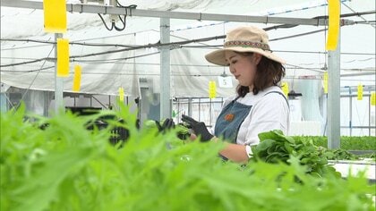 農業経験ゼロでもできる！子育てママ×最新技術で農業を一念発起　「働きやすい」新たな農業のモデルケース【高知発】