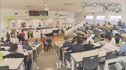 「ほんとに奇跡」4つ子の子牛が健康に成長　生まれ育った農家から新たな旅立ち【沖縄発】