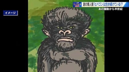 消息途絶え半世紀…「令和のヒバゴン」出没か？　新たな目撃証言が相次ぎ 55年目の再始動【広島発】