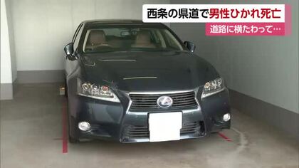 西条の道路で横たわっていた男性　駐車場から出た直後の普通車にひかれ死亡　警察が状況調べる【愛媛】