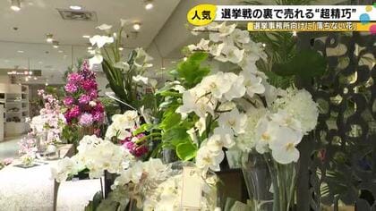 選挙関連の売上は3年で約1.5倍に…『造花の胡蝶蘭』の売れ行きが好調 選挙戦の裏側で着実に支持広げる