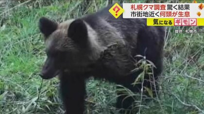 【クマ調査で驚愕の結果】居住エリア近くに10頭以上生息か…子ども遊ぶ砂場に足跡も　6月だけで19件目撃　札幌市