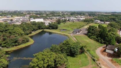 希少な植物の宝庫「川南湿原」を守る人々　草刈りや火入れを続け40年…新たな固有種も【宮崎発】