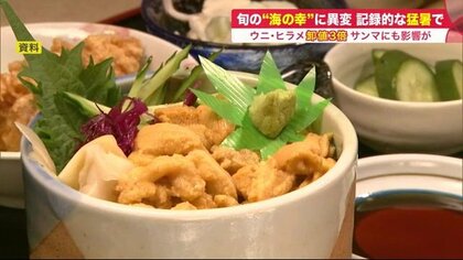 ウニ丼3500円以上＆ヒラメ卸値3倍に高騰　猛暑と「海洋熱波」で北の海に異変…食卓直撃【北海道発】